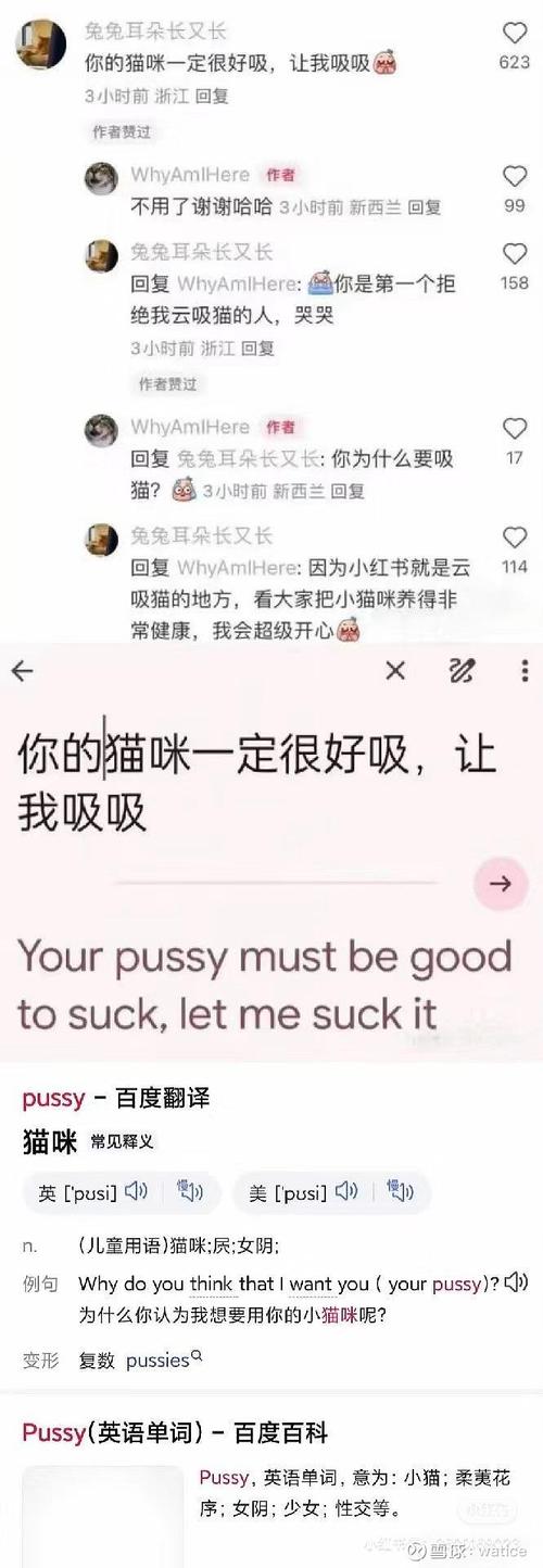 suck的時態用法_sucker是什么意思_suck是什么意思中文翻譯