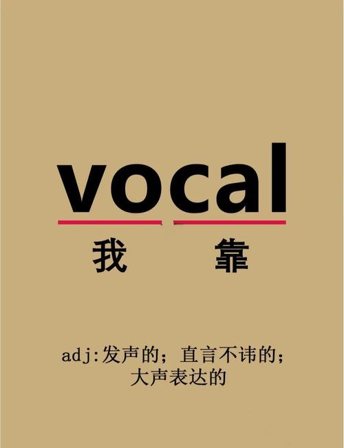 vocal是什么意思_vocal形容詞主要含義解釋_vocal英語單詞含義用法