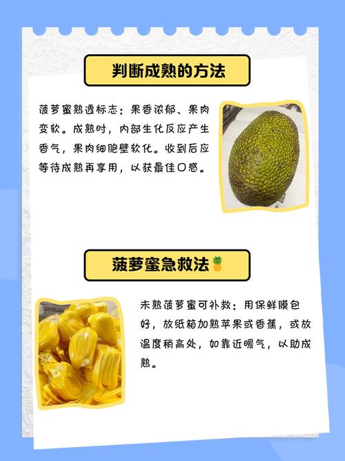 菠蘿蜜的英文_乙烯利處理_菠蘿蜜