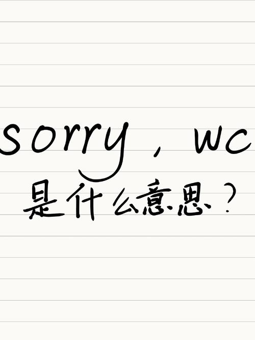 sorry expressions in english_對不起的英文怎么寫_english sorry phrases examples