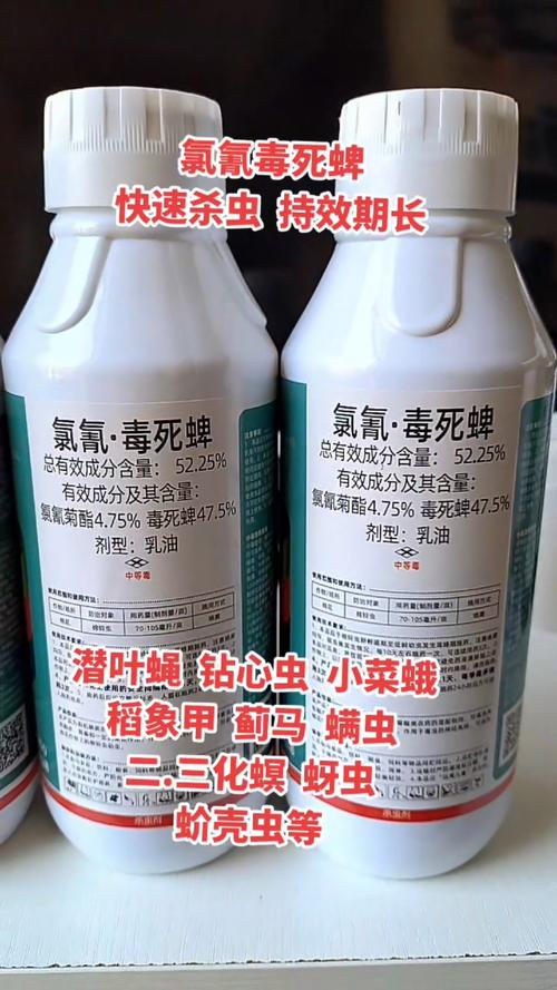毒死蜱 英文_毒死蜱性質用途與生產工藝_毒死蜱毒性參數與安全使用