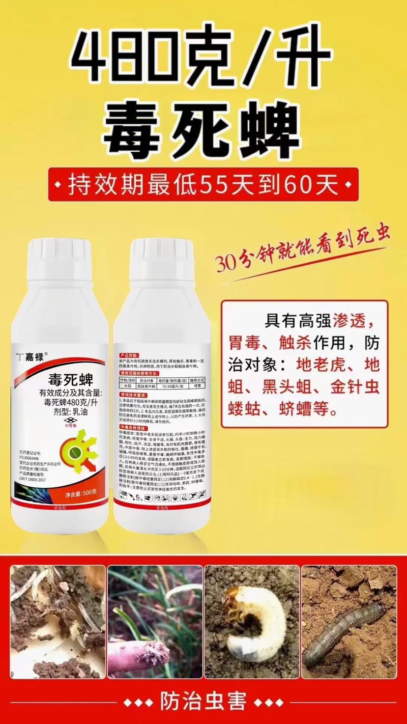 毒死蜱毒性參數與安全使用_毒死蜱 英文_毒死蜱性質用途與生產工藝