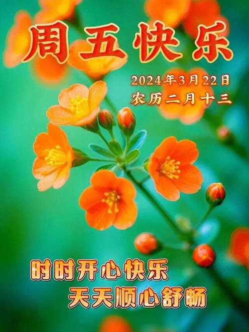  friday office worker happiness _friday magic day _歡樂(lè)時(shí)光英文