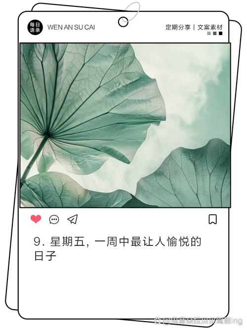  friday office worker happiness _歡樂(lè)時(shí)光英文_friday magic day 