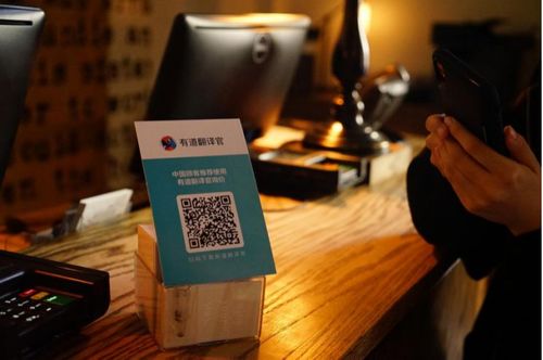 中國出境游語言障礙_有道翻譯官海外布局_有道在線翻譯