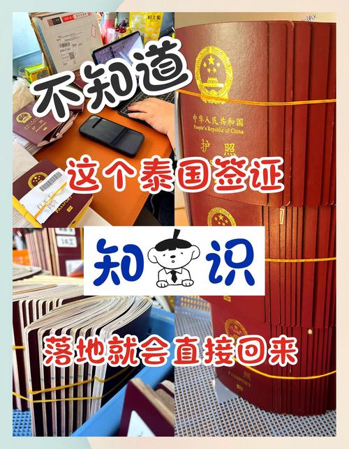 泰國簽證申請材料_中國駐泰國使館簽證申請_簽證中心