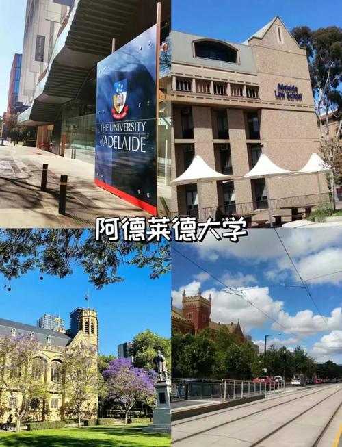 阿德雷德大學世界排名_阿德雷德大學就業率_阿德雷德大學
