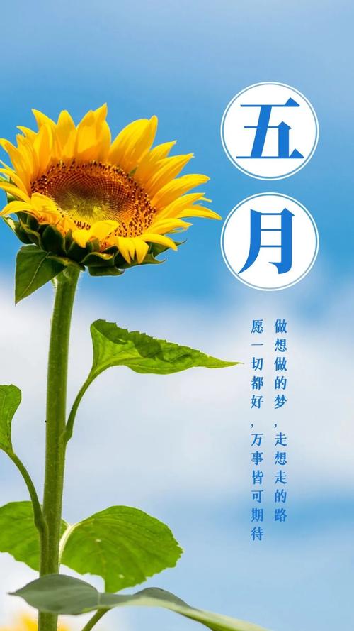 五一送祝福語_四月再見五月你好_過完年的說說心情短語