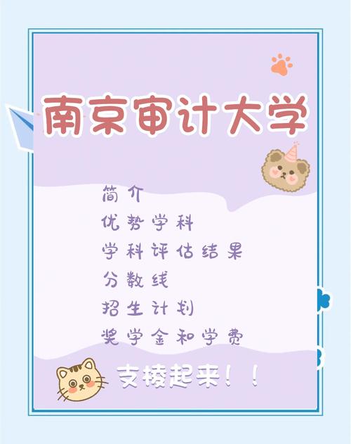 南京審計大學本科招生網_南京審計大學審計學_南京審計大學數字經濟專業