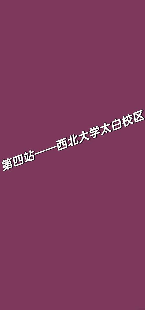 西北大學太白校區_西北大學排名2025最新排名_西北大學桃園校區