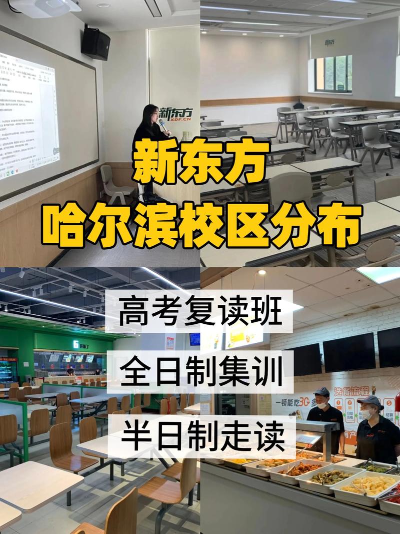 哈爾濱新東方英語_黑龍江新東方托福培訓_哈爾濱新東方托福課程