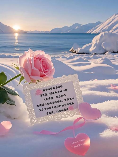表白句子大全_愛情表白語句_青春年華的句子