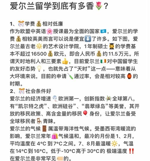 愛爾蘭留學優勢_愛爾蘭互聯網公司聚集_愛爾蘭簽證中心