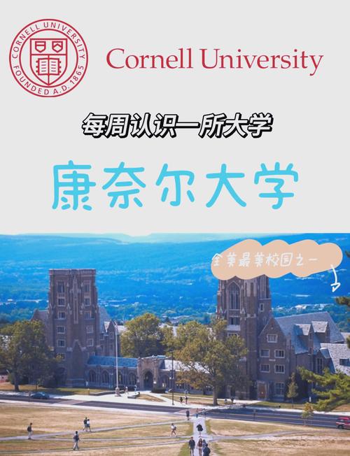 康奈爾大學_康奈爾大學研究生學院_康奈爾大學卡塔爾分校