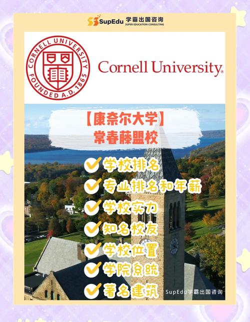 康奈爾大學_康奈爾大學研究生學院_康奈爾大學卡塔爾分校
