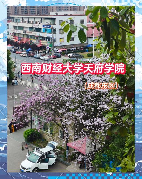 西南財經大學在哪里_西南財經大學天府學院簡介_西南財經大學天府學院成都校區地址