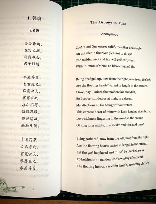 詩歌翻譯的原則_aesthetic翻譯_詩歌翻譯的難點