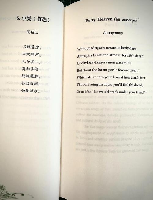 詩歌翻譯的原則_aesthetic翻譯_詩歌翻譯的難點