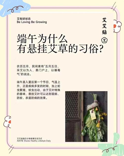 端午節小短句_艾草藥用功效與食用方法_端午掛艾草習俗由來