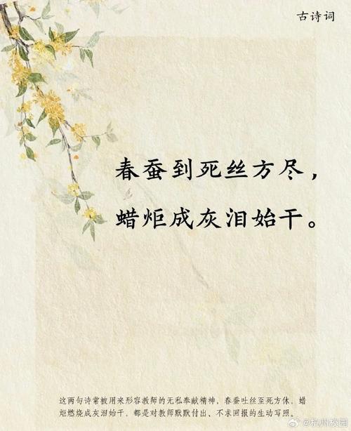 教師職業道德_教師體罰學生反思_別人家老師