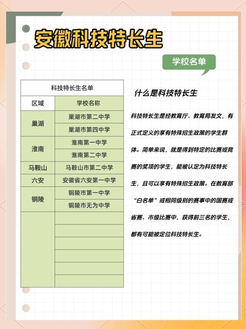 安徽強基計劃科技特長生招生 機器人 信息學奧賽 科技創新 項目招生計劃_安徽高考2025