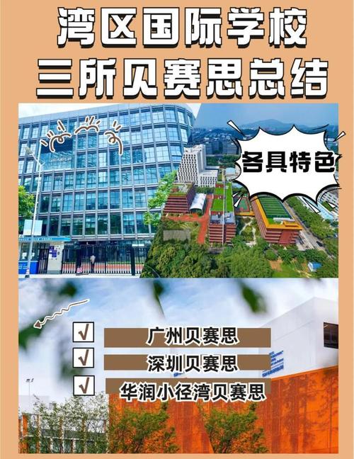 深圳貝賽思國際學校_深圳國際學校課程體系對比_深圳貝賽思國際學校VS深國交對比