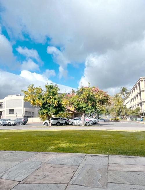 夏威夷大學馬諾阿主校留學費用與生活成本_美國夏威夷大學馬諾阿主校研究生專業排名_夏威夷馬諾大學