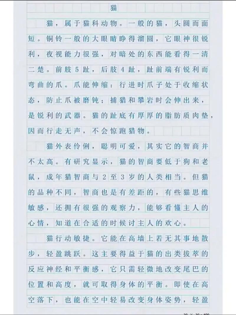 小學生一年級清明節手抄報怎么做_清明節手抄報英語_清明節英文翻譯方法