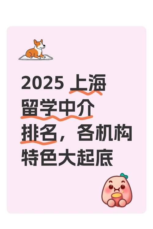 上海留學中介口碑排名_上海留學機構排名_博士留學申請