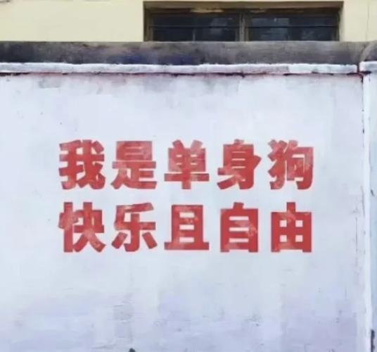 單身狗表白搞笑說說_520單身狗搞笑說說大全_情人節說說朋友圈