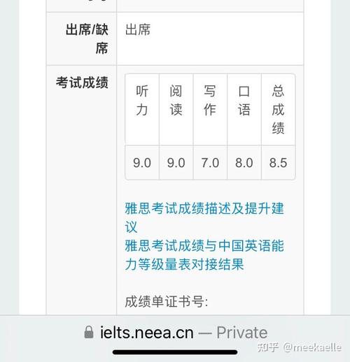 什么叫雅思_雅思8.5-9分水平_雅思9分是什么樣的水平