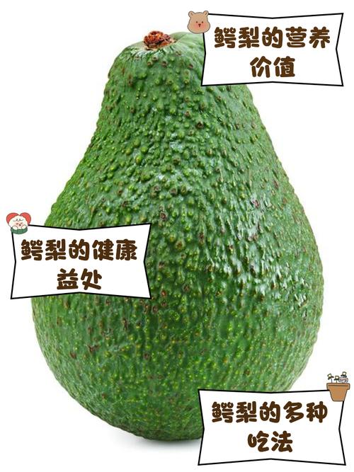 牛油果是什么水果_牛油果的營養價值_牛油果如何食用