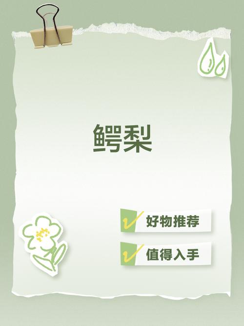 牛油果如何食用_牛油果是什么水果_牛油果的營養價值
