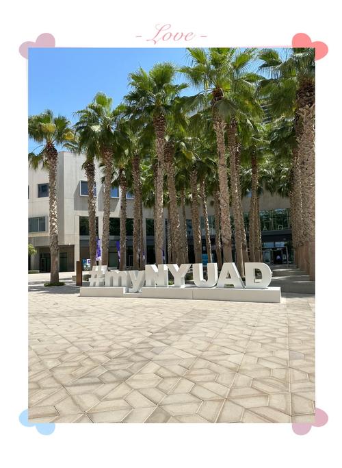 紐約大學阿布扎比分校_阿聯(lián)酋國立大學 UAE University_哈里法大學 Khalifa University