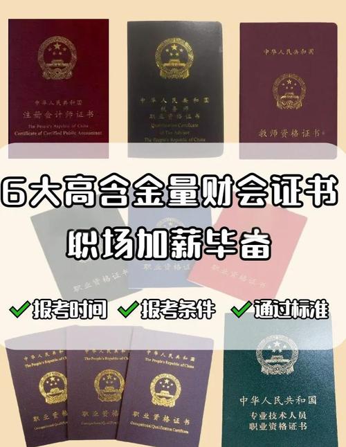 2025會計(jì)專業(yè)就業(yè)前景_CPA注冊會計(jì)師_CDA數(shù)據(jù)分析師