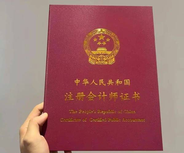 CDA數(shù)據(jù)分析師_2025會計(jì)專業(yè)就業(yè)前景_CPA注冊會計(jì)師