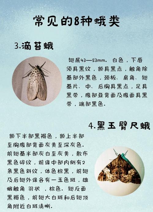 昆蟲記讀后感500字_昆蟲趨光性研究進展_昆蟲趨光性機理研究