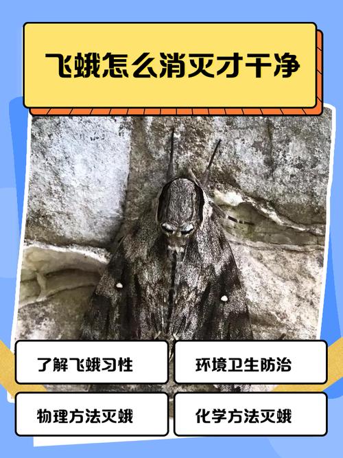 昆蟲趨光性機理研究_昆蟲記讀后感500字_昆蟲趨光性研究進展
