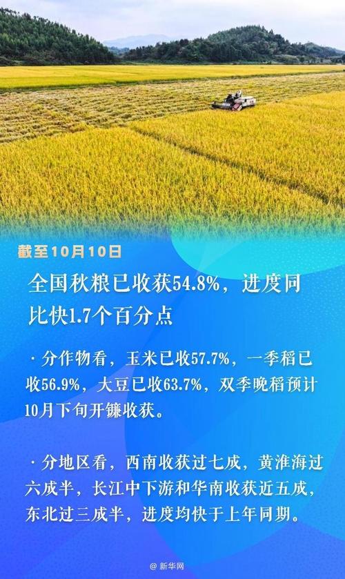 重慶水稻秋收 機收作業_秋收的季節_立秋農業豐收 黑龍江玉米灌漿期