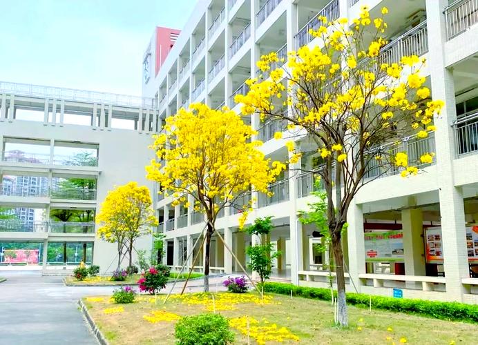 校園環(huán)境整潔學生維護_campus是什么意思_校園表情狀態(tài)師生互動