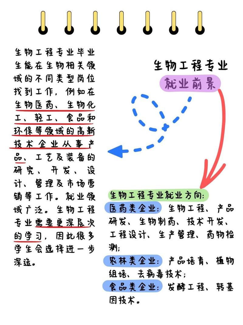 生物工程專業(yè)就業(yè)形勢_生物工程就業(yè)方向_生物工程專業(yè)薪資待遇