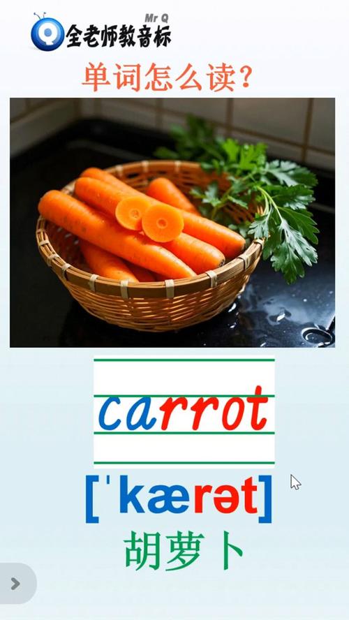 carrot most popular vegetable in the world_carrot juice refreshing drink_carrots是什么意思
