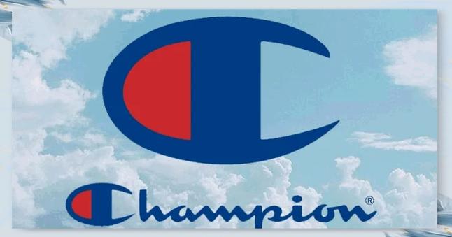 champion英文翻譯_champion詞典釋義_champion是什么意思