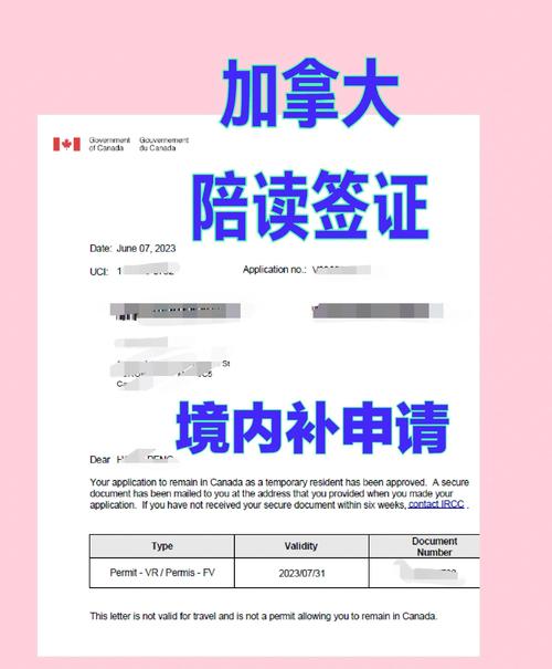 加拿大陪讀簽證申請流程_陪讀簽證_加拿大訪問簽證加探親簽辦理條件