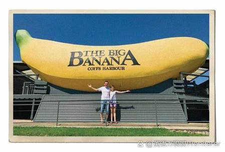 cherry是什么意思_banana meaning in english_the big banana slang