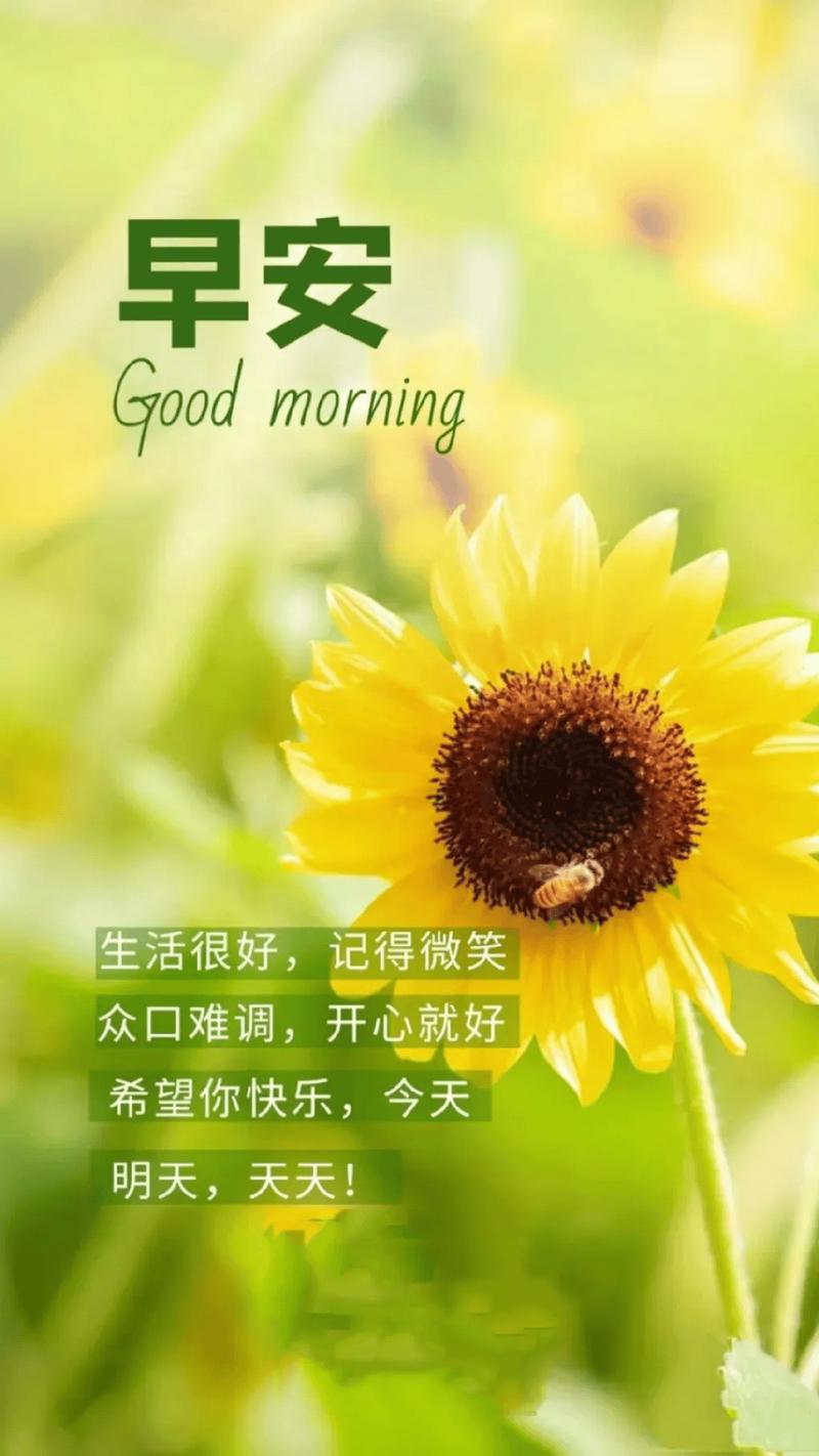 朋友祝福語_人生哲理_心靈感悟