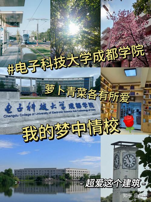 電子科技大學與成都電子科技大學區別_成都電子科技大學成都學院與電子科技大學關系_成都科技大學
