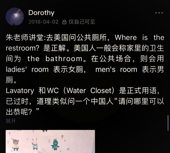 toilet meaning and usage_closet是什么意思_restroom vs toilet differences