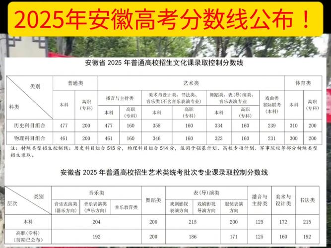 安徽省高考評卷教師選拔標準_2025年安徽高考分數(shù)線_安徽省2025年高考網(wǎng)上評卷工作進度