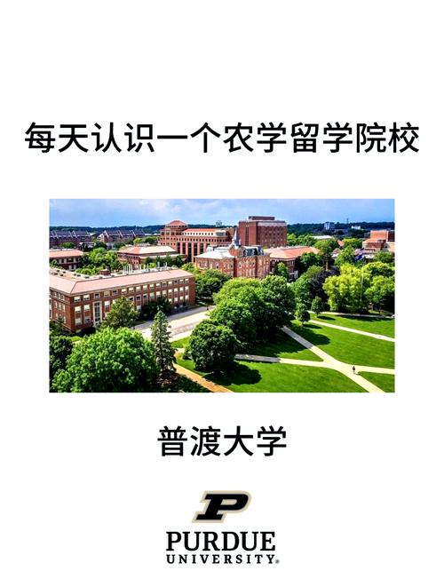 普渡大學排名_普渡大學工程學科優勢排名_普渡大學2025年QS世界大學排名